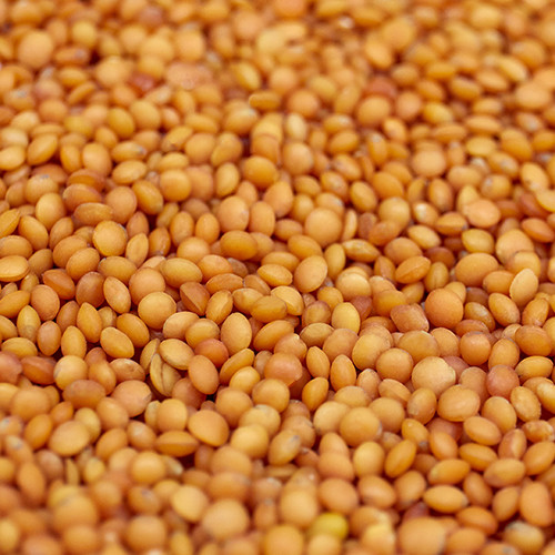 Kırmızı Mercimek 25 Kg